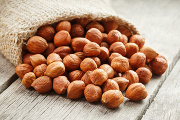 Chiselled hazelnuts in a bag of burlap on a gray wooden table. Organic Fresh Harvested