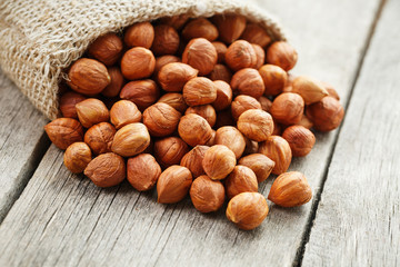 Chiselled hazelnuts in a bag of burlap on a gray wooden table. Organic Fresh Harvested
