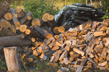 Pile of firewood. Preparation of firewood for the winter and use for cooking, firewood background, Stacks of firewood in the forest