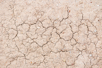 cracked earth texture
