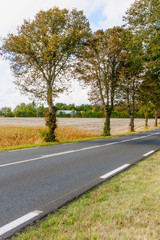 Fototapeta premium Landscape of road and countryside in the Pays de la Loire