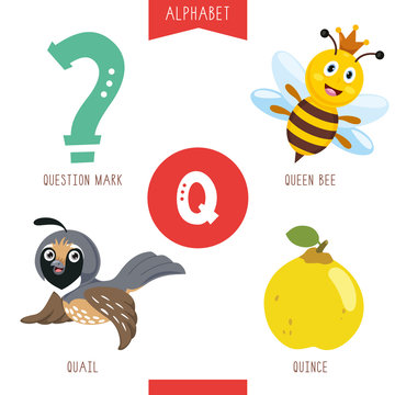 Vector Illustration Of Alphabet Letter Q And Pictures