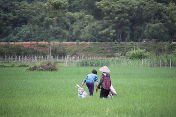 voyage vietnam 2017