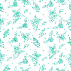 Botanical seamless pattern. Hand drawn illustration of Mint. Floral texture. Background with mint leaves and flowers. Sketch style © Marina_Eisymont
