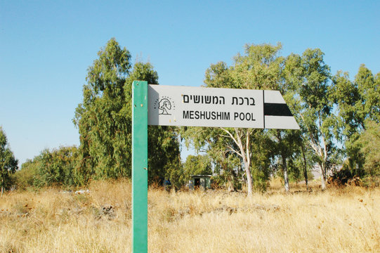 Meshushim pool in Yehuda, Israel