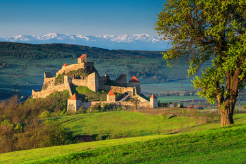 Wonderful medieval fortress in Brasov region, Rupea, Transylvania, Romania, Europe