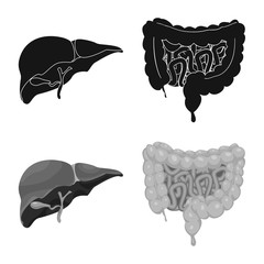 Vector design of body and human sign. Set of body and medical stock vector illustration.