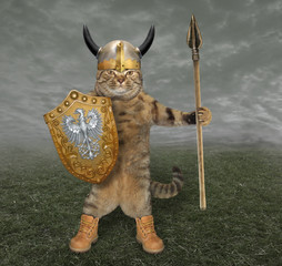 The cat knight in a helmet with horns holds a spear and a shield on the battlefield.