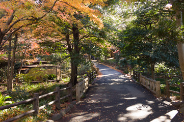 Tokyo park