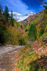Trail and fall colors in the Valley