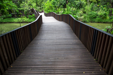 Fototapeta na wymiar Wooden bridge walkway in the park.