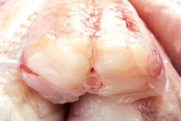 Fototapeta premium fresh burbot ready to be cooked