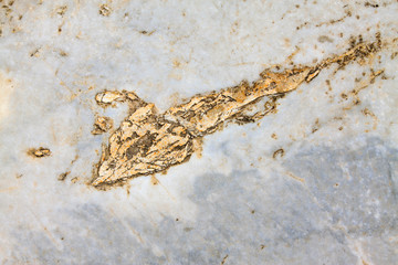 Surface texture of rocks