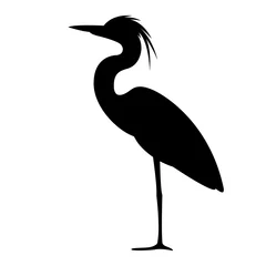 Foto op Plexiglas heron walking , vector illustration,,profile view,  © wectorcolor