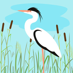 heron walking , vector illustration,flat style 