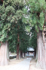 世界遺産・河口浅間神社の建造物