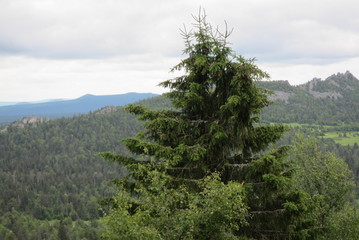 Nature Travel Landscape