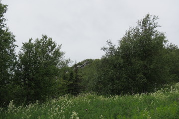 Nature Travel Landscape