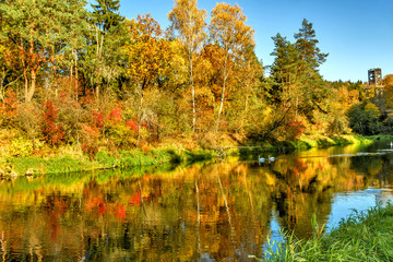 Park and riverTrees on the river in the autumn in the autumn at Anyksciai