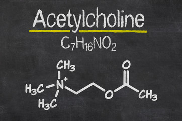 Blackboard with the chemical formula of Acetylcholine