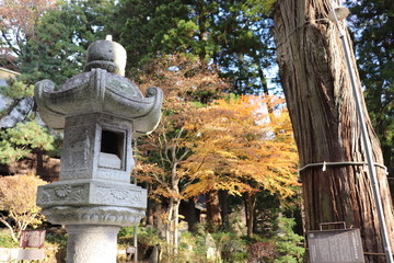 世界遺産・河口浅間神社の建造物