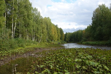 Nature Travel Landscape