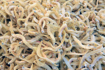 seafood - dried fish