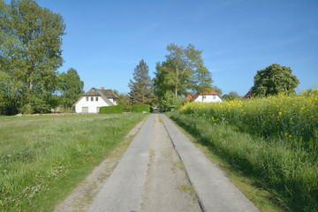 Fototapeta na wymiar traditioneller Plattenweg auf der Insel Rügen,Ostsee,Mecklenburg-Vorpommern,Deutschland