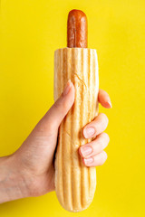 Grilled french hot dog in woman's hand