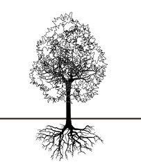 Tree silhouette (Vector illustration).