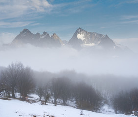 misty forest before a snowbound mountain chain, winter scene