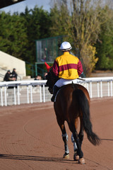 trot monté
