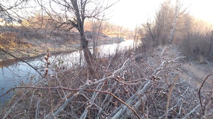 Fototapeta na wymiar River in november