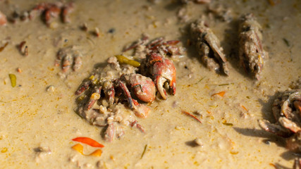 Drop crab salt food of Thailand