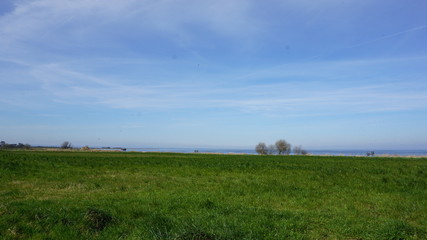 landscape with green field and blue sky