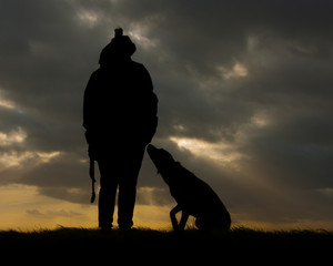 Fototapeta na wymiar silhouette of dogs nose touching owners hand in sunset