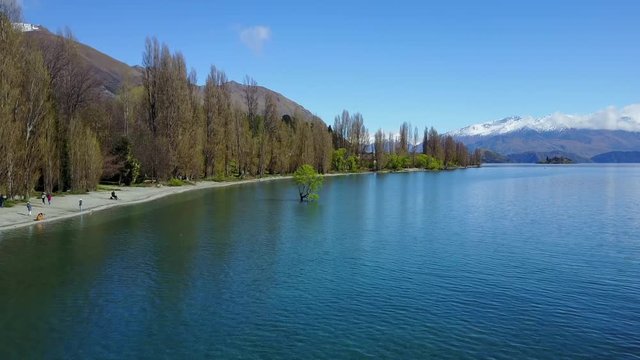 4K. Aerial view of Lake Wanaka with Wanaka tree in spring. one of popular travel destinations in South Island, New Zealand.