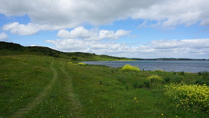 landscape with blue sky and clouds