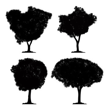silhouette tree vector set and isolated black forest collection on white background