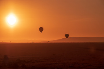 balloons flying over savanna