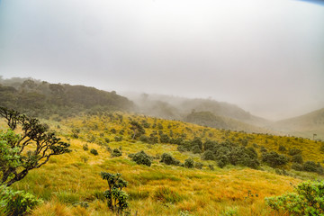 Landschaftsbilder von Sri Lanka