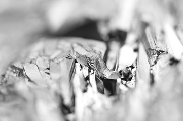 Black and white background of the quartz surface. Macro.