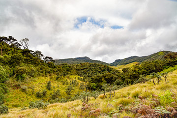 Landschaftsbilder von Sri Lanka