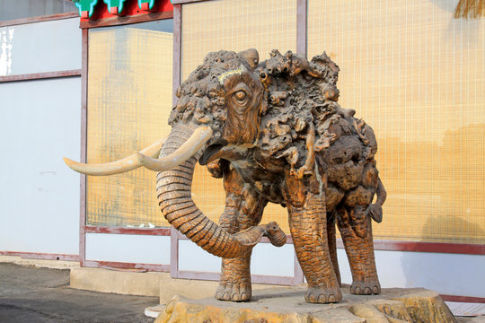 Wooden elephant sculptures