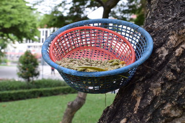 food on the basket for squirrels and birds in the park.
