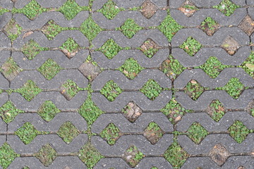 pavement stones with holes and grasses growth in holes and stones were set in horizontal direction.