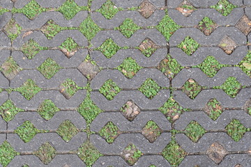 pavement stones with holes and grasses growth in holes and stones were set in horizontal direction.