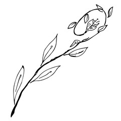 Flower icon. Vector illustration of a flower. Hand drawn flower.