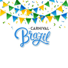 Carnival Brazil Party Flags and Text vector image
