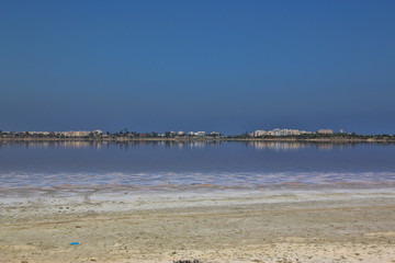 chypre